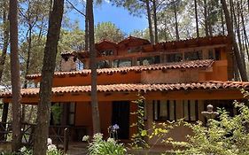 Cabaña rustica a 1km de cascada